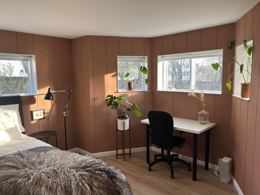 New Cozy Bohemian Dowtown Reykjavik Apartment Exteriér fotografie